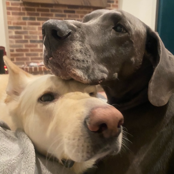 ✨ Salutations ✨ - Picture 8 of 8